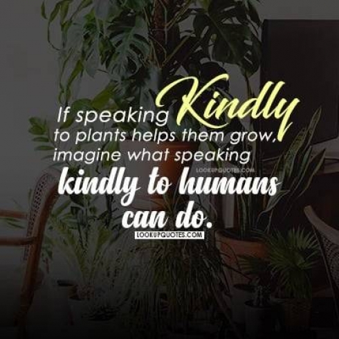 If speaking kindly to plants helps them grow